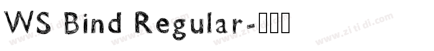 WS Bind Regular字体转换